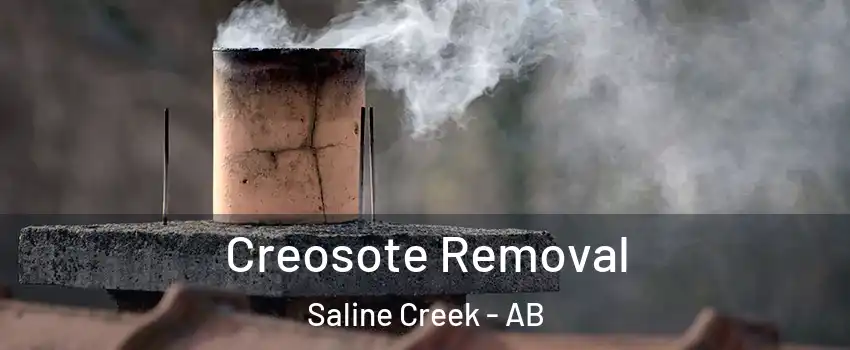  Creosote Removal Saline Creek - AB