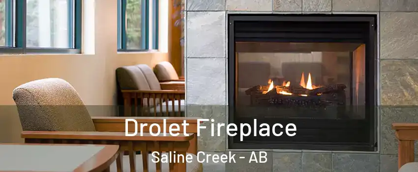  Drolet Fireplace Saline Creek - AB