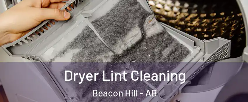  Dryer Lint Cleaning Beacon Hill - AB