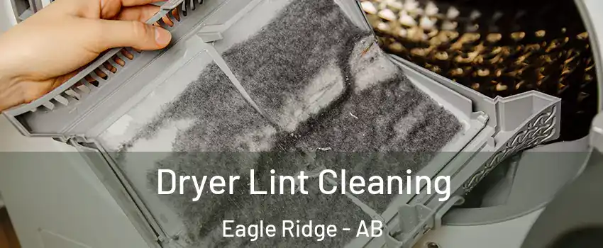  Dryer Lint Cleaning Eagle Ridge - AB