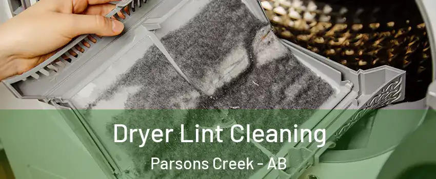  Dryer Lint Cleaning Parsons Creek - AB