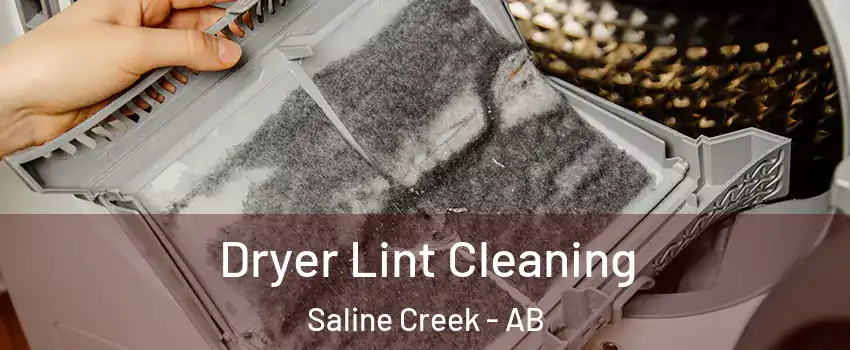  Dryer Lint Cleaning Saline Creek - AB