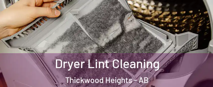  Dryer Lint Cleaning Thickwood Heights - AB