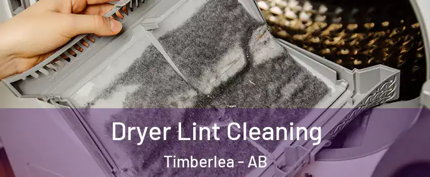  Dryer Lint Cleaning Timberlea - AB
