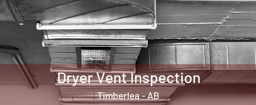  Dryer Vent Inspection Timberlea - AB