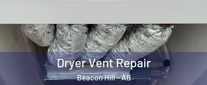  Dryer Vent Repair Beacon Hill - AB