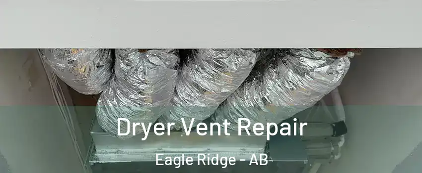  Dryer Vent Repair Eagle Ridge - AB