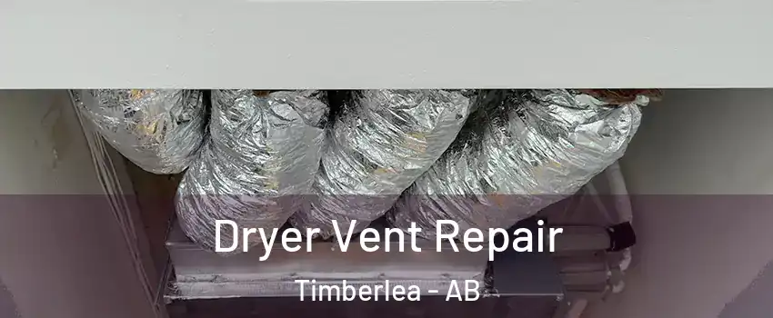  Dryer Vent Repair Timberlea - AB