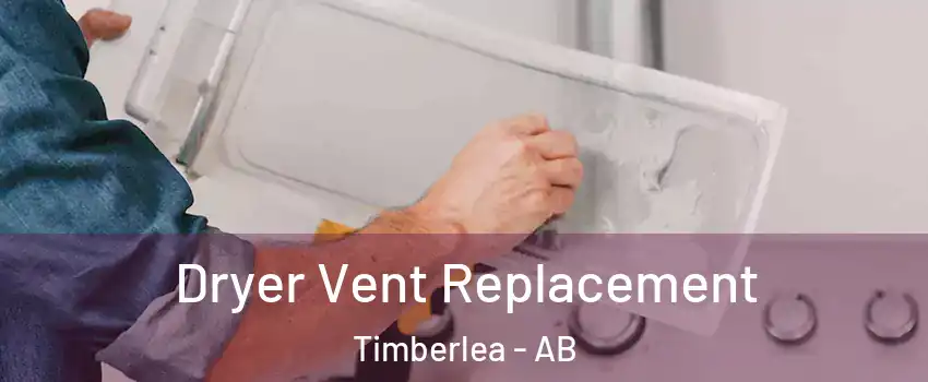  Dryer Vent Replacement Timberlea - AB