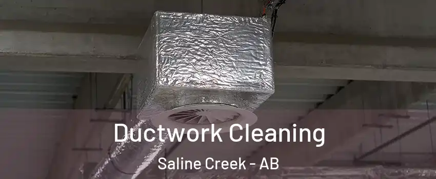  Ductwork Cleaning Saline Creek - AB