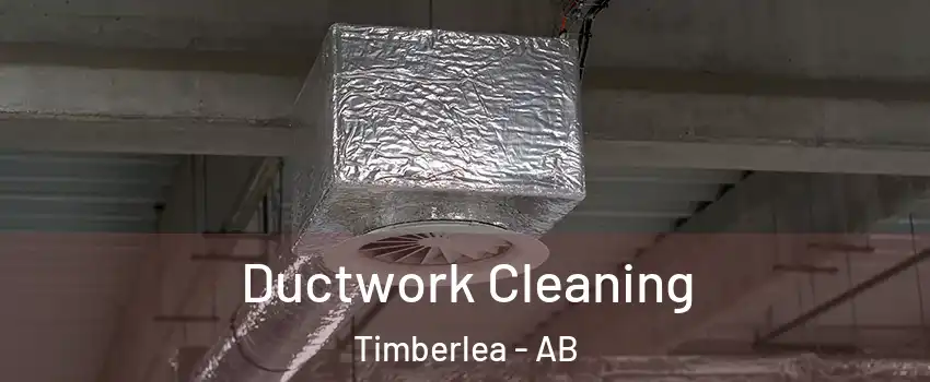  Ductwork Cleaning Timberlea - AB