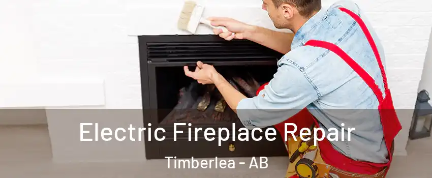  Electric Fireplace Repair Timberlea - AB