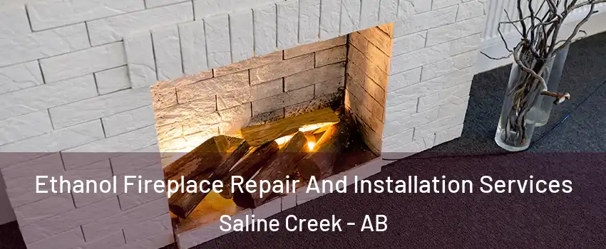  Ethanol Fireplace Repair And Installation Services Saline Creek - AB