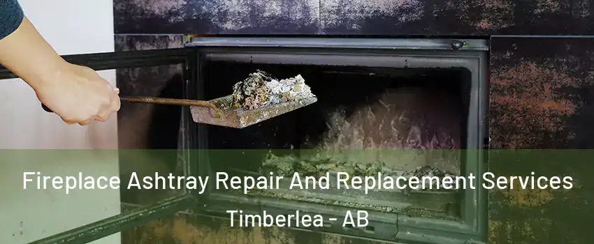  Fireplace Ashtray Repair And Replacement Services Timberlea - AB