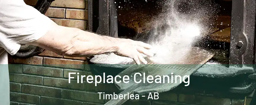 Fireplace Cleaning Timberlea - AB