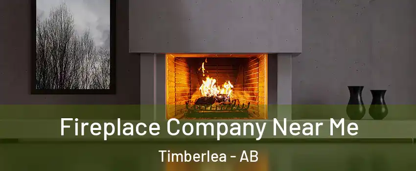  Fireplace Company Near Me Timberlea - AB