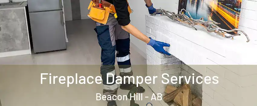  Fireplace Damper Services Beacon Hill - AB