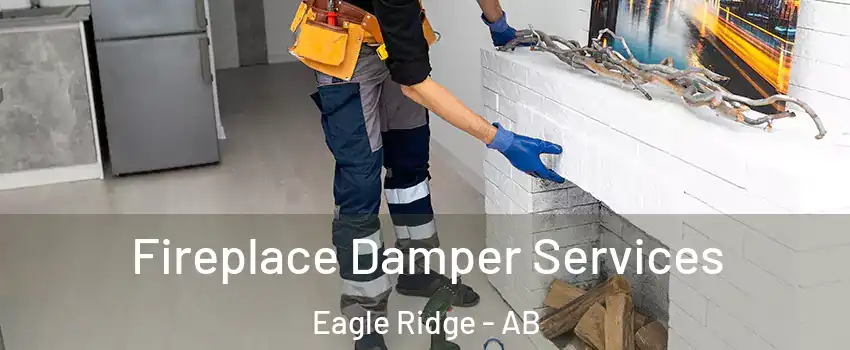  Fireplace Damper Services Eagle Ridge - AB
