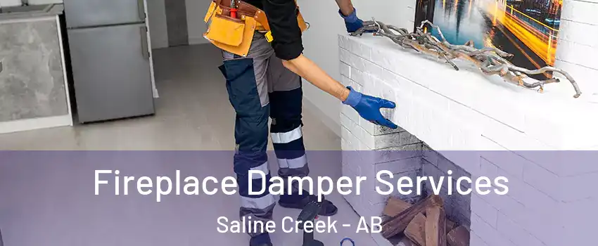  Fireplace Damper Services Saline Creek - AB