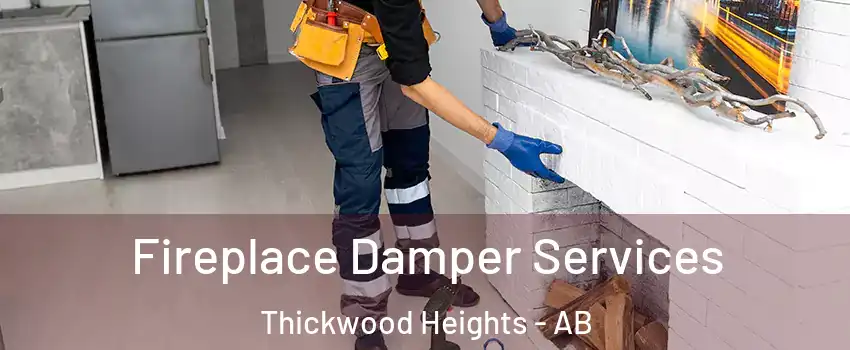  Fireplace Damper Services Thickwood Heights - AB