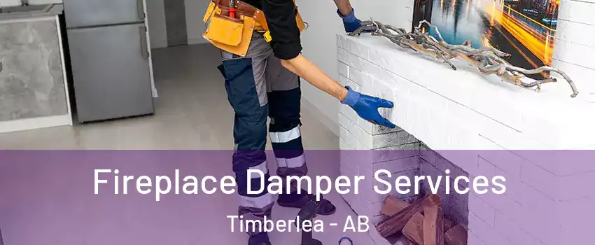  Fireplace Damper Services Timberlea - AB