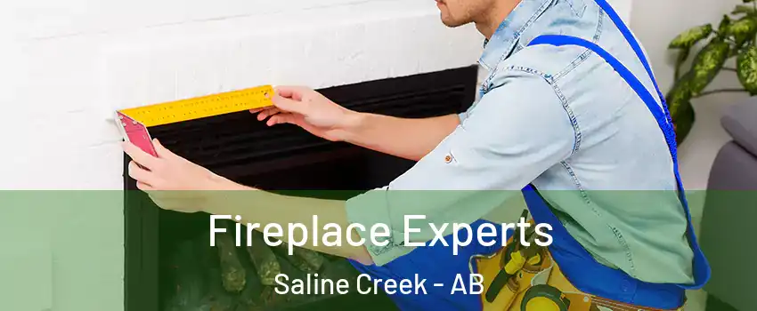  Fireplace Experts Saline Creek - AB