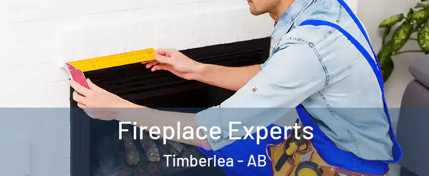  Fireplace Experts Timberlea - AB