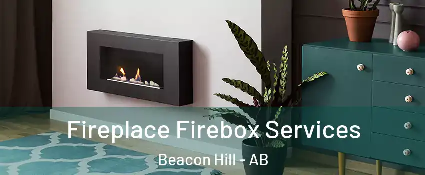 Fireplace Firebox Services Beacon Hill - AB