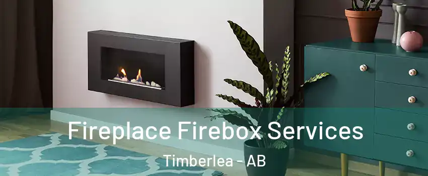  Fireplace Firebox Services Timberlea - AB