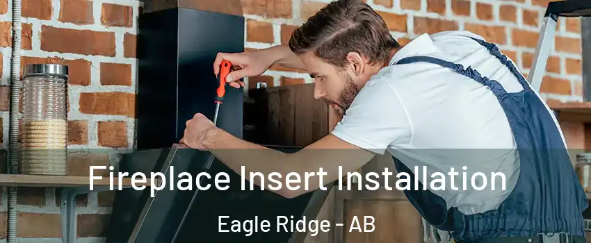 Fireplace Insert Installation Eagle Ridge - AB