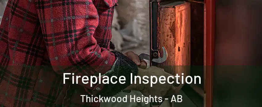  Fireplace Inspection Thickwood Heights - AB