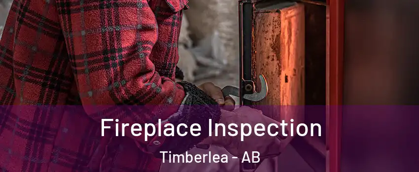  Fireplace Inspection Timberlea - AB