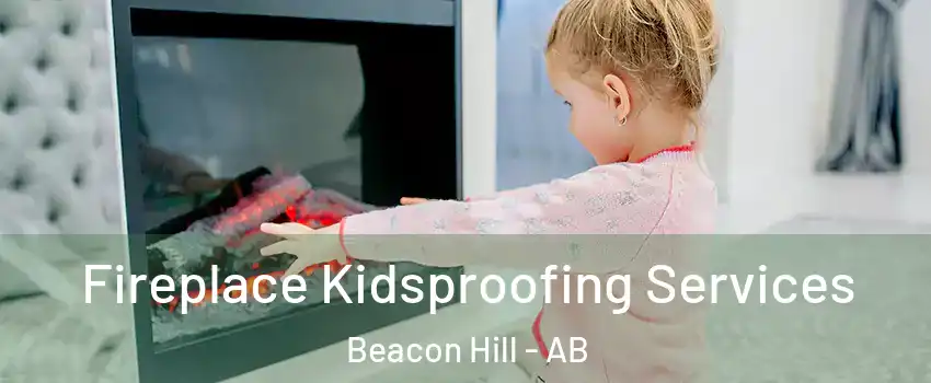  Fireplace Kidsproofing Services Beacon Hill - AB