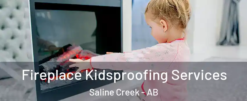  Fireplace Kidsproofing Services Saline Creek - AB