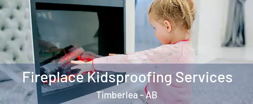  Fireplace Kidsproofing Services Timberlea - AB