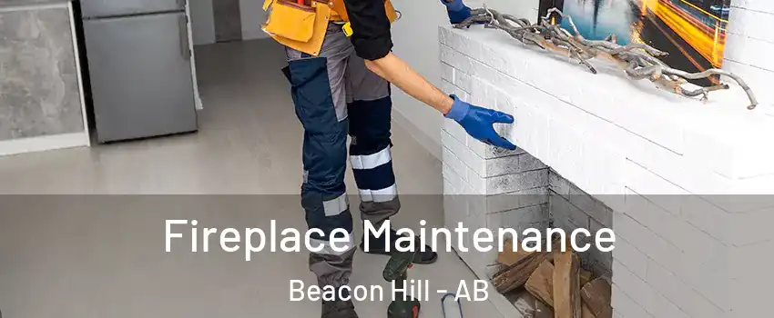  Fireplace Maintenance Beacon Hill - AB