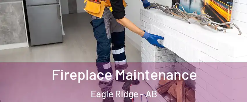  Fireplace Maintenance Eagle Ridge - AB