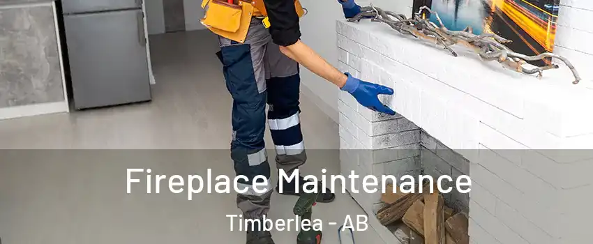  Fireplace Maintenance Timberlea - AB