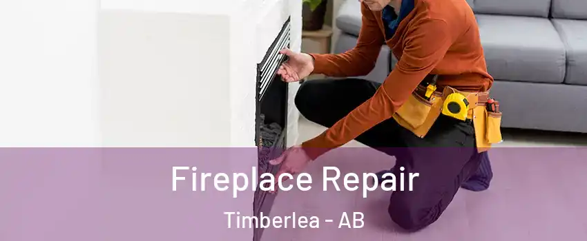  Fireplace Repair Timberlea - AB