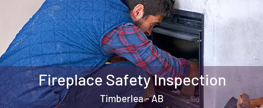  Fireplace Safety Inspection Timberlea - AB