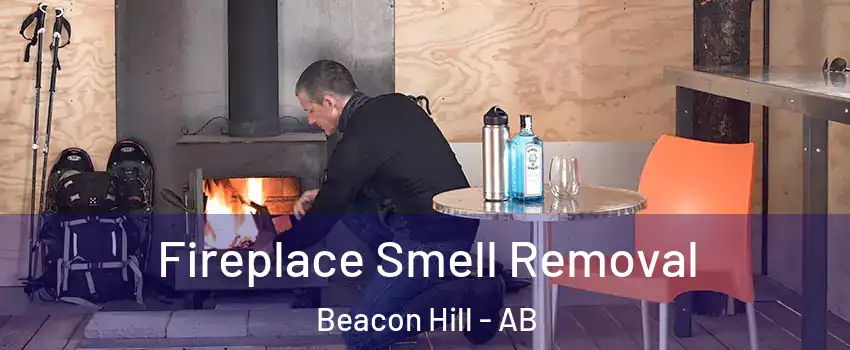  Fireplace Smell Removal Beacon Hill - AB
