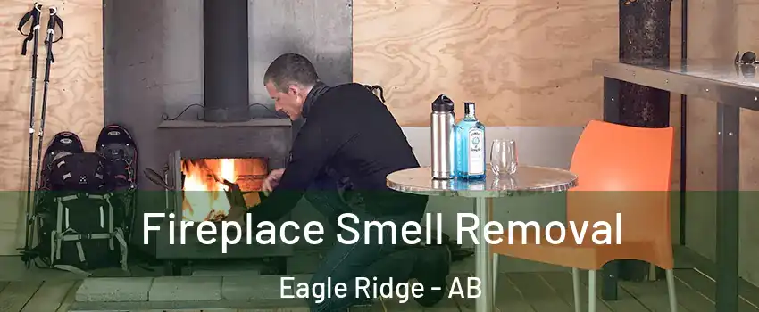  Fireplace Smell Removal Eagle Ridge - AB