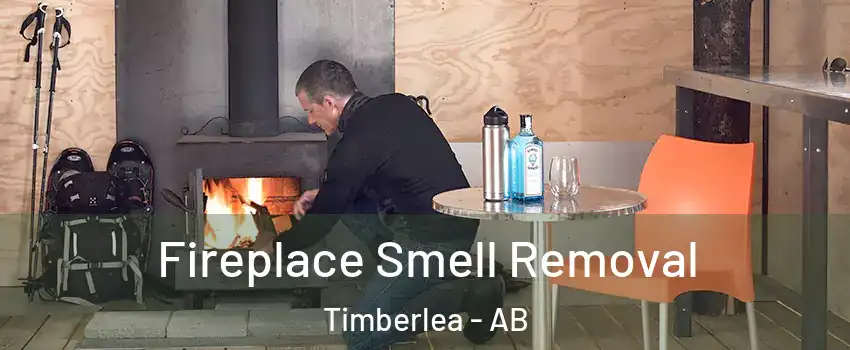  Fireplace Smell Removal Timberlea - AB