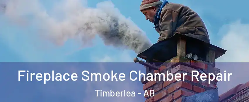  Fireplace Smoke Chamber Repair Timberlea - AB