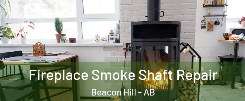  Fireplace Smoke Shaft Repair Beacon Hill - AB