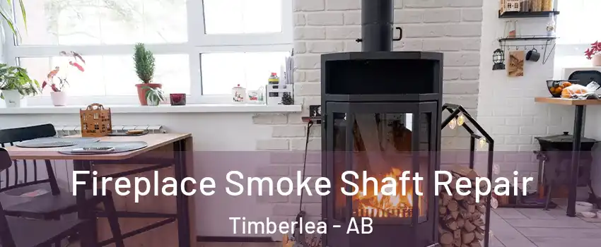  Fireplace Smoke Shaft Repair Timberlea - AB