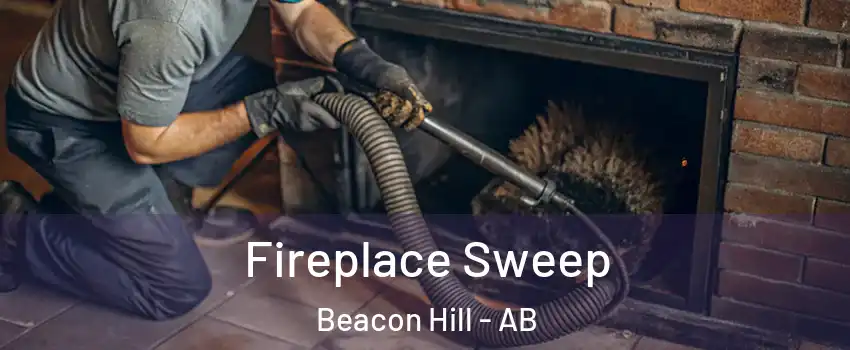  Fireplace Sweep Beacon Hill - AB