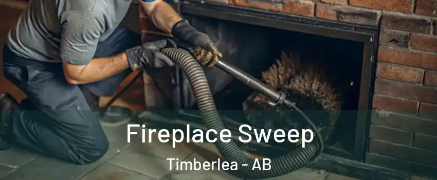  Fireplace Sweep Timberlea - AB