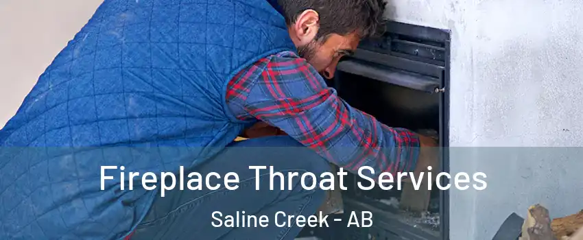  Fireplace Throat Services Saline Creek - AB