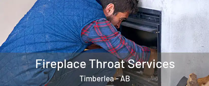  Fireplace Throat Services Timberlea - AB